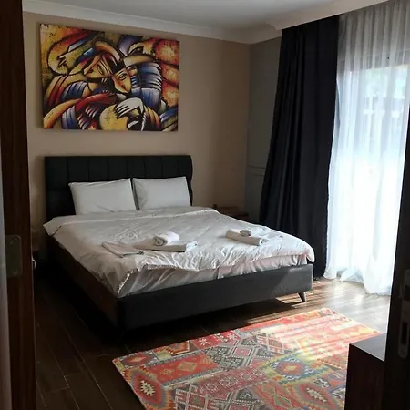 Villa Dsf & Spa A4 Sapanca
